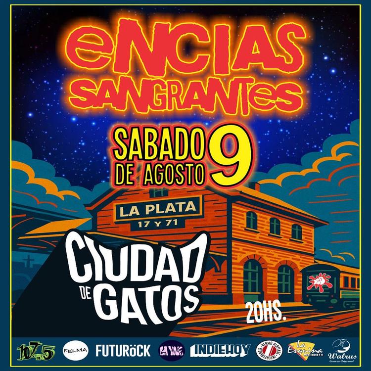 Encias Sangrantes en Ciudad de Gatos