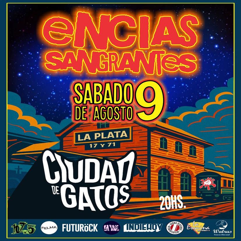 Encias Sangrantes en Ciudad de Gatos
